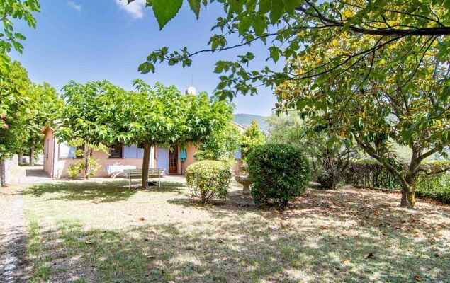 L'Agapanthe - Photo 2