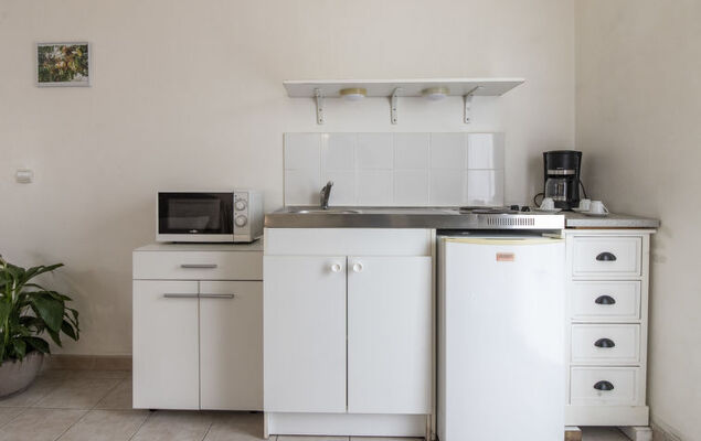 Le petit Verdillon - Photo 10