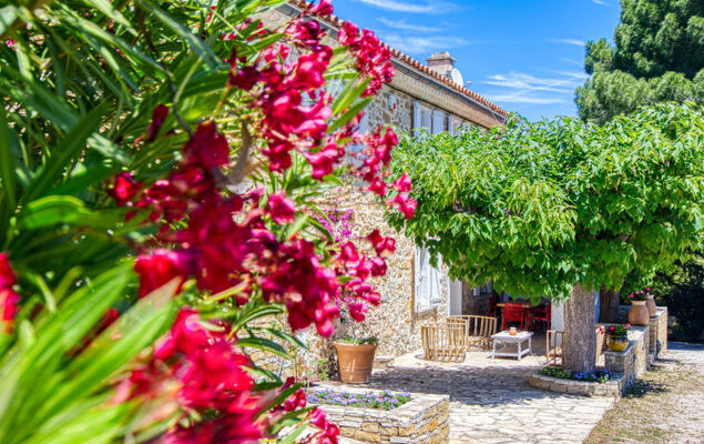 La Bastide de Magdeleine - Photo 12