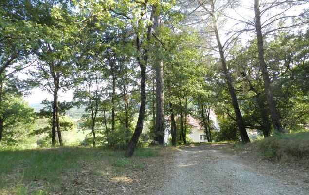 Saint-Michel - Photo 36