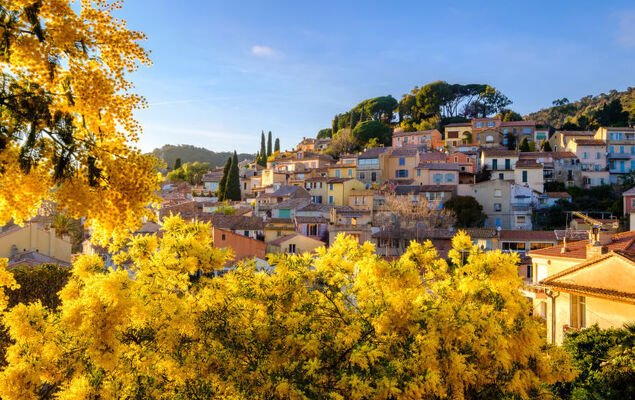 Les Ondines - Photo 25