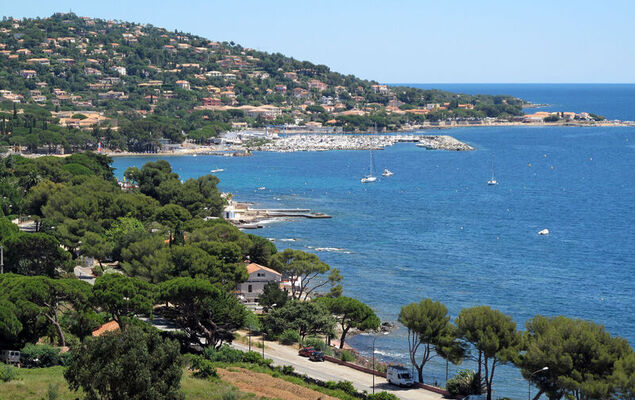 Les Coralines - Photo 27