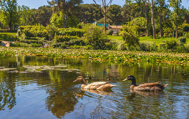 Les Rivages de Coudoulière - Photo 38