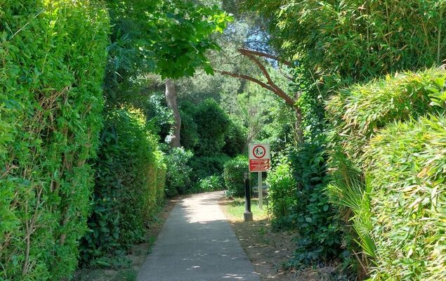 Les Rivages de Coudoulière - Photo 39