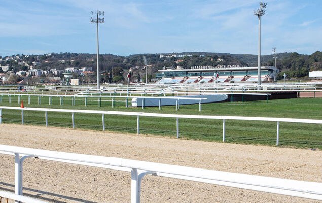 Le Grey Pearl - Photo 30