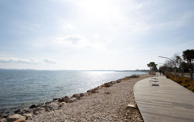 Les Astérides - Photo 28