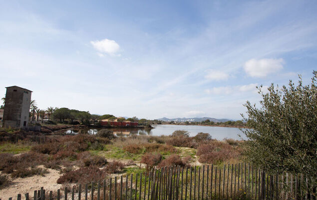 Port de La Gavine - Photo 19