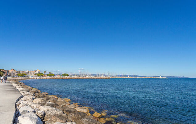 Port de La Gavine - Photo 25