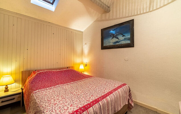 Le Dauphin - Photo 11