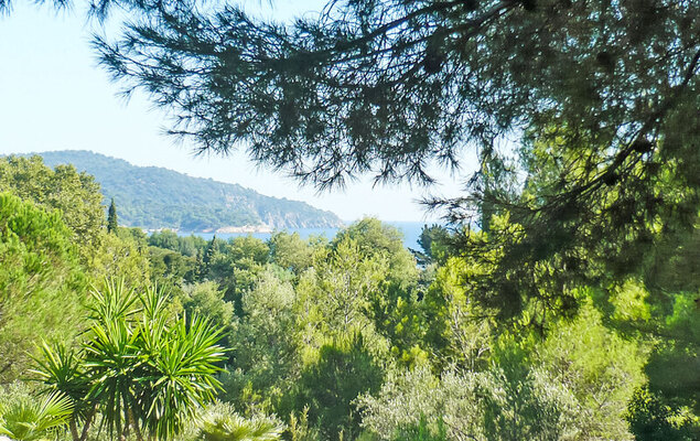 Mas Baladou - Photo 29