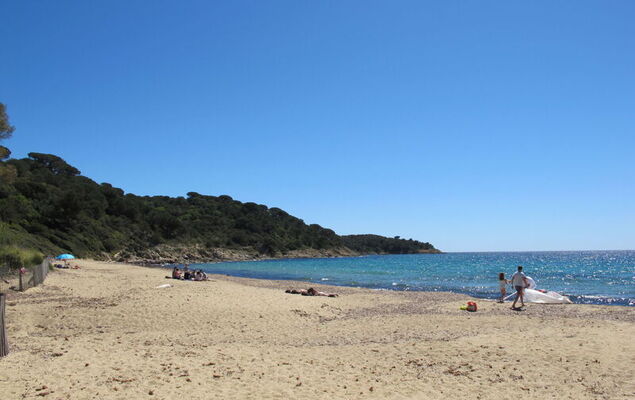 Mas Baladou - Photo 37