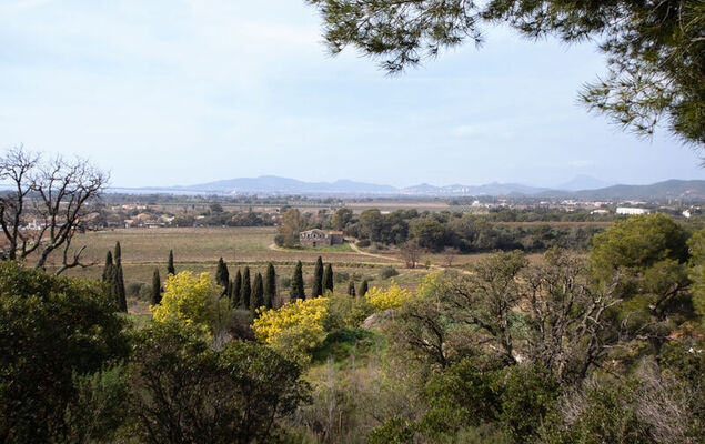 Les Canoubiers III - Photo 20