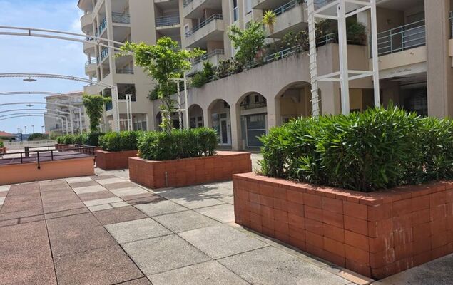 Les Pins Bleus - Photo 16